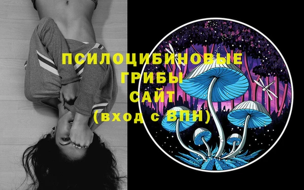 амфетамин Богородицк