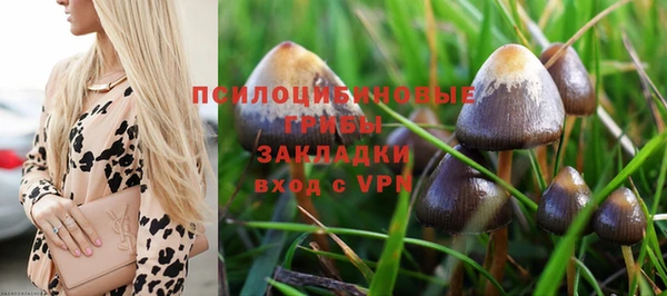 альфа пвп Богородск
