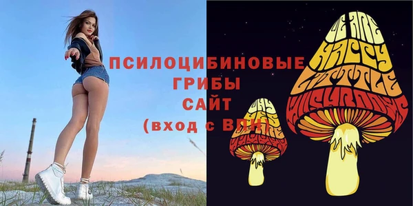 индика Кукмор
