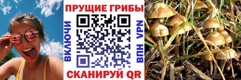 Псилоцибиновые грибы Magic Shrooms  гидра ССЫЛКА  Добрянка  закладки 